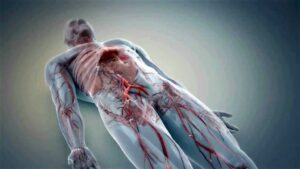 Surgical device SolidWorks CAD assembly model converted into high-precision 3D medical animation wireframe